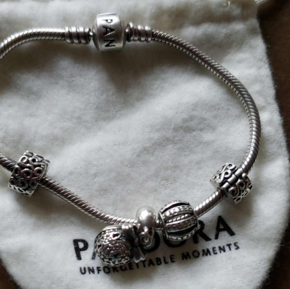 Pandora Bracelet